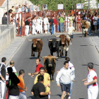 Varios mozos corren delante de los toros en uno de los encierros al paso por el puente de Tudela de Duero.-Genunino Madrid.
