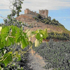 Vista del castillo de Peñafiel.-EL MUNDO