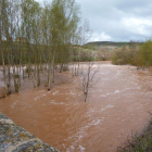 El desbordamiento del río Arlanza a su paso por Escuderos en abril causó nuevas inundaciones en fincas de cultivo.-ARTURO MARTÍN