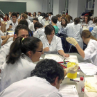 Alumnos del Grado de Medicina durante sus prácticas de laboratorio, en una imagen de archivo.-ICAL