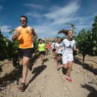 Una imagen de una de las carreras del circuito 'Corriendo entre viñas' / M. G. EGEA