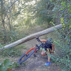 Una ciclista pasa por debajo de un árbol caído cuyo tronco cruza el sendero e imposibilita el avance.-PABLO REQUEJO
