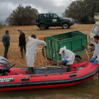Operarios de la Junta con la ayuda de la embarcación de la CHD, recogen carpas muertas del embalse de La Cuerda del Pozo .-Ical