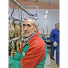 Marcelino Lobo, de la UCCL, ordeñando ovejas en su explotación de Aguilar de Campos.-E.M.