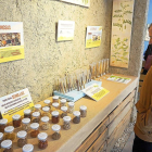 Un visitante observa una muestra de semillas autóctonas de la comarca de Villalar de los Comuneros.-ICAL