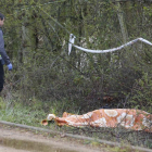Aparece el cuerpo de un hombre en el río Bernesga en León.-ICAL
