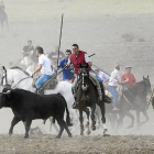 Un toro avanza por el campo seguido por los caballistas en la localidad de Olmedo.-J.M.LOSTAU