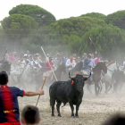 Un mozo cita a ‘Elegido’, Toro de la Vega 2014.-Ical