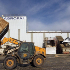Un trabajador cargando paja en las instalaciones de Agropal en Villoldo (Palencia).-ICAL