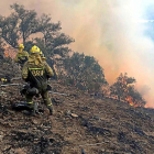 Dos brigadas forestales  durante la extinción en el incendio de Fermoselle.-BRIF