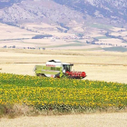 Un agricultor en plena cosecha de girasol en una explotación de La Bureba (Burgos).-G.G.