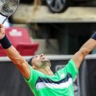 David Ferrer celebra su triunfo ante Dolgopolov en la final de Bastad.-REUTERS