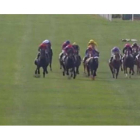 Imagen del accidente en el Hipódromo de la Zarzuela.-EL PERIÓDICO