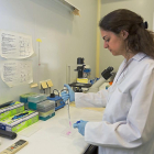 Una investigadora del Instituto de Biología y Genética Molecular (IBGM) realiza un cultivo.-MIGUEL ÁNGEL SANTOS