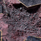 La estrella de Donald Trump en el Paseo de la fama tras los destrozos. /-DAVID MCNEW / AFP