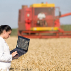 Peritaje de una parcela agrícola en Castilla y León.-CAJA RURAL