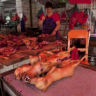 Un carnicero prepara su mostrador con carne de perro lista para ser cocinada en el festival de Yulin.-Foto: CHINA STRINGER NETWORK / REUTERS