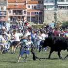 ‘Zamorano’, uno de los últimos lanceros vencedores del torneo original, cita al astado en la última edición del Toro de la Vega, el pasado 11 de septiembre.-J.M. LOSTAU