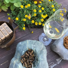 Insectors y un vino blanco de Rueda.-EUROPA PRESS