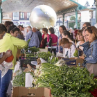 Mercado de la plaza de España bajo la marquesina sobre la que se montará una cubierta vegetal .-E. M.