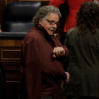 El diputado de ERC, Joan Tardà, llega al hemiciclo del Congreso.-JOSÉ LUIS ROCA
