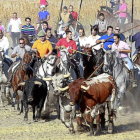 Un grupo de caballistas conduce a la manada ayer, en el recorrido campero del encierro mixto de Aldeamayor de San Martín.-J. M. Lostau