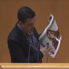 El senador de Compromís, Carles Mulet, durante su intervención en el Senado.-