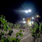 Recogida nocturna de la uva en una bodega de la Denominación de Origen Rueda.-MIGUEL ÁNGEL SANTOS