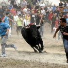 'Elegido’, el Toro de la Vega de 2014, persigue a dos corredores en la última edición del torneo.-Pablo Requejo
