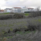 Terrenos del Zambrana objeto del litigio, con el centro de menores al fondo-J. M. LOSTAU