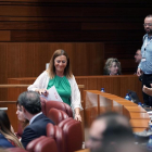 La procuradora socialista Virginia Barcones en el Pleno de las Cortes de Castilla y León.-ICAL