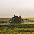 Un agricultor aplica glifosato en su explotación. Es posible que no pueda volver a hacerlo si la UE toma medidas.-ECB
