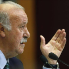 Vicente del Bosque.-EFE