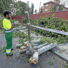 Un operario precinta ayer la zona de árboles talados para la construcción del túnel de la calle Andrómeda.-P. REQUEJO