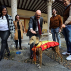 Jesús Julio Carnero acaricia a Pelaya de Safesa durante la recepción en la Diputación de Valladolid.-ICAL