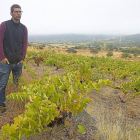 José Benéitez observa el paisaje entre las cepas de una viña vieja acogida a la DOPArribes.-EL MUNDO