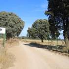 Entrada al Monte de El Común, en Villalba de los Alcores, donde murió un joven de 13 años en octubre.-LEONARDO DE LA FUENTE