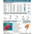 -EL MUNDO DE CASTILLA Y LEÓN