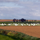 Parcela agrícola destinada a barbecho durante la última campaña regional en la provincia de Valladolid.-ICAL
