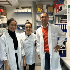 Manuel Sánchez junto a sus compañeras Patricia y Lucía en el laboratorio de Transgénesis de la Universidad de Salamanca.-E.M.