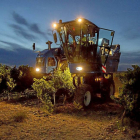 Una máquina vendimiadora recoge uva el primer día de la cosecha 2015 en Rueda.-Photogenic