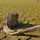 Imagen del pantano de la Cuerda del Pozo en Soria en noviembre.-MARIO TEJEDOR
