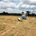 Un agricultor recoge garbanzos en una explotación de leguminosas ubicada en la provincia de Valladolid.-ICAL