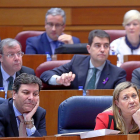 Los consejeros de Empleo, Carlos Fernández Carriedo, y de Economía y Hacienda, Pilar del Olmo, en el pleno.-ICAL