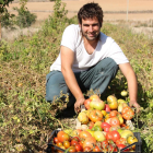 Eduardo Perote junto a unas cajas de tomates recién cortados en Piñel de Abajo, Valladolid.-MAR TORRES