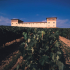 Viñedo de la bodega burgalesa Torres de Anguix.-E. M.