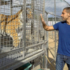 Samuel observa un tigre durante la visita blanquivioleta al circo la pasada semana.-Miguel Ángel Santos