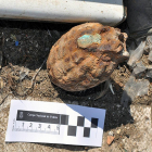 Desactivada una granada encontrada en un solar en las proximidades de Astorga (León)-Ical