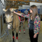 Silvia Clemente, ayer en el Centro Ecuestro durante el concurso de ponis.-ICAL