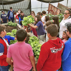 Alumnos en el taller de la huerta ecológica en el programa de educación medioambiental de Matallana.-E.M.